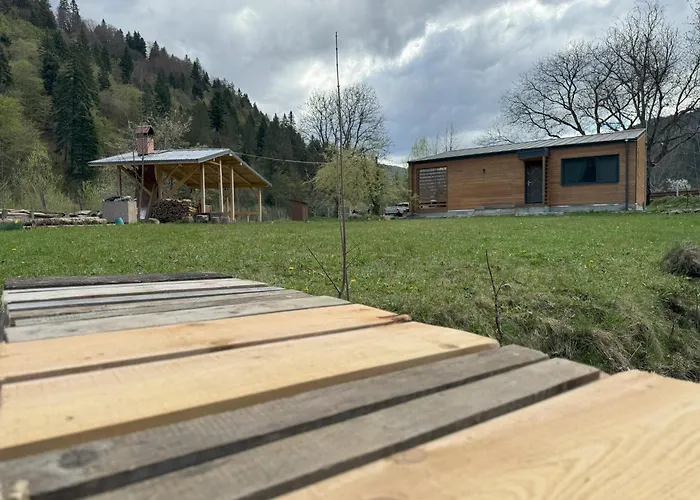 Tarcau Kub