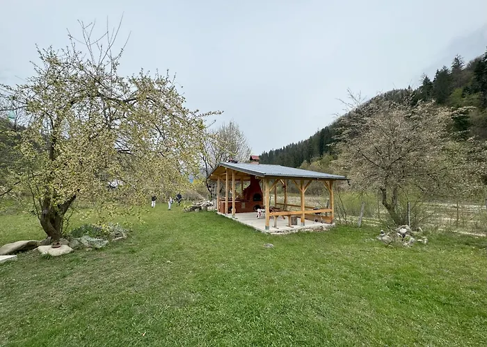 Tarcau Kub