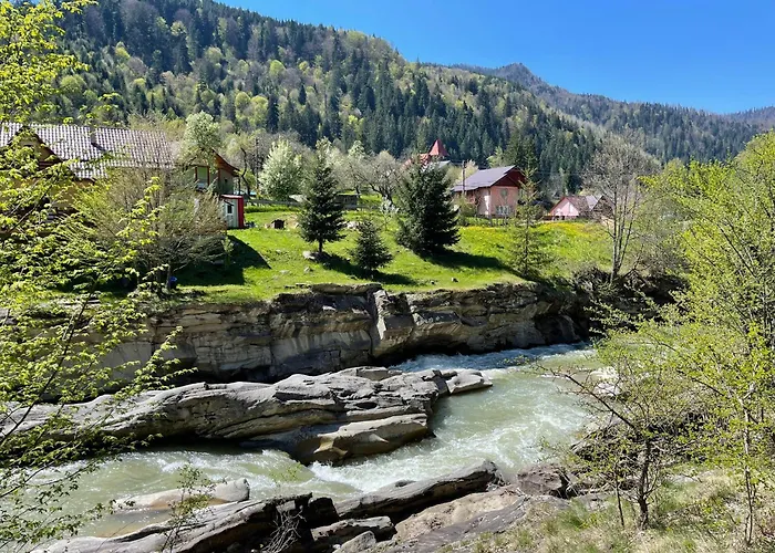 Tarcau Kub