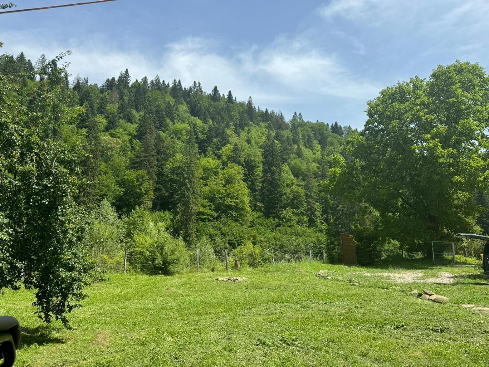 Tarcau Kub Holiday home