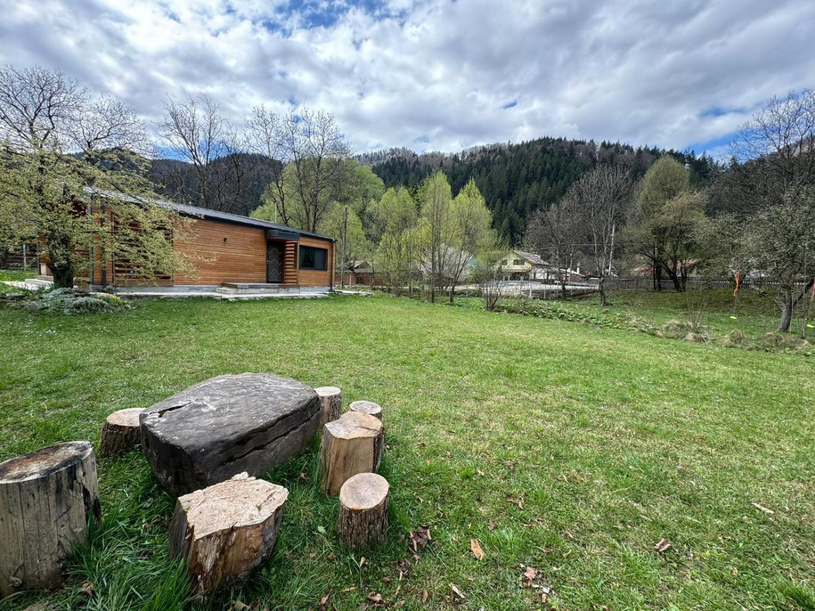 Tarcau Kub Holiday home *
