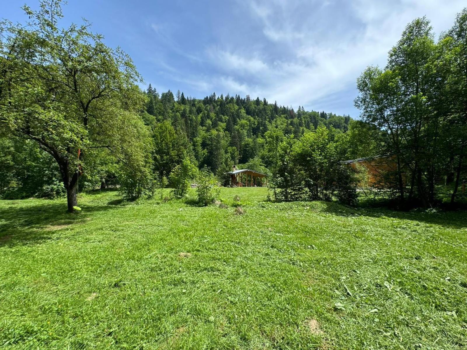 Tarcau Kub Holiday home Cazaci