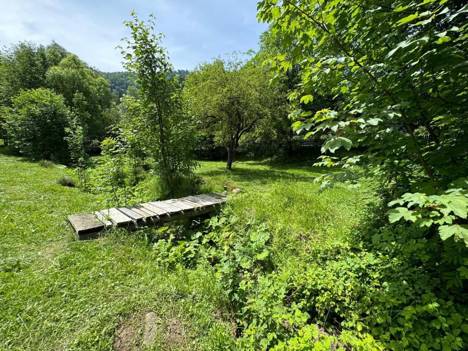 Tarcau Kub Cazaci